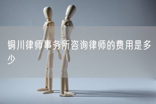銅川律師事務(wù)所咨詢(xún)律師的費(fèi)用是多少